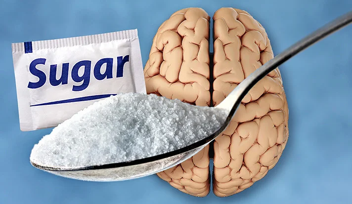 Study Reveals: Certain sugars affect brain ‘plasticity,’ helping with learning, memory, recovery